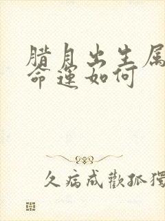 腊月出生属鼠男命运如何