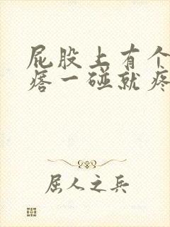 屁股上有个硬疙瘩一碰就疼封面