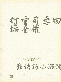 打官司要回孩子抚养权