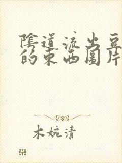 阴道流出豆腐渣的东西图片