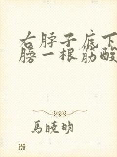 右脖子底下连肩膀一根筋酸痛封面