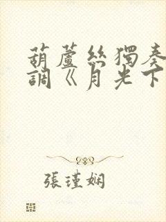 葫芦丝独奏降b调《月光下的凤尾竹》