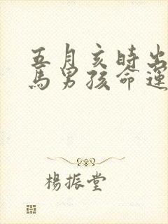 五月亥时出生的马男孩命运