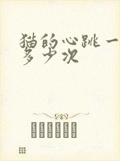 猫的心跳一分钟多少次封面