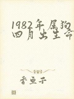 1982年属狗四月出生命运咋样封面