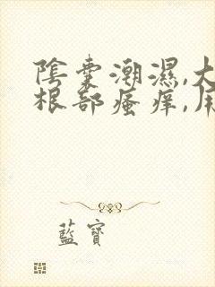 阴囊潮湿,大腿根部瘙痒,用什么药