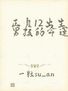 正月12出生的男孩的命运