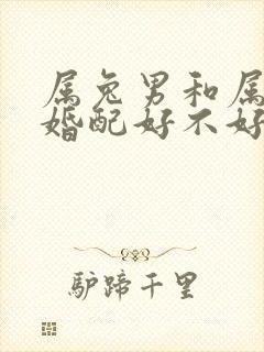 属兔男和属牛女婚配好不好