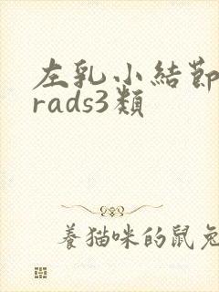 左乳小结节birads3类