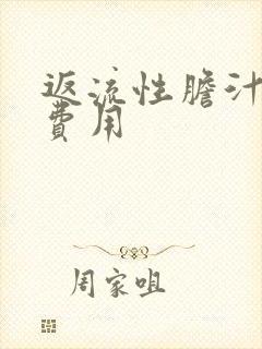 返流性胆汁胃炎费用