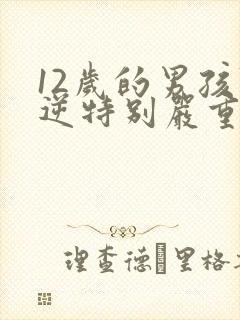 12岁的男孩叛逆特别严重怎么教育