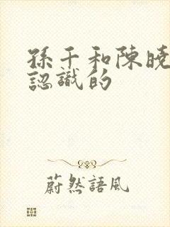 孙千和陈晓怎么认识的