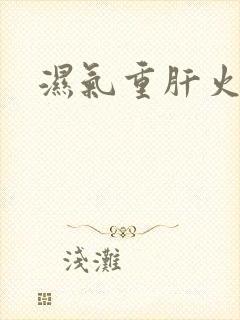 湿气重肝火旺中