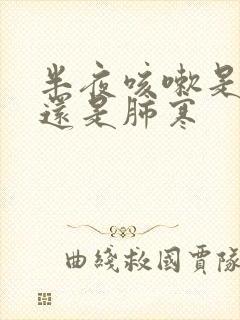 半夜咳嗽是肺热还是肺寒