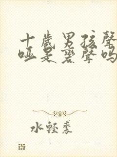 十岁男孩声音嘶哑是变声吗