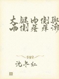 大腿内侧与阴囊两侧瘙痒潮湿发黑用药