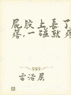 屁股上长了个疙瘩,一碰就疼