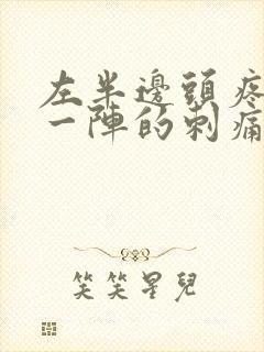 左半边头疼一阵一阵的刺痛封面