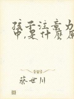 孩子注意力不集中,是什么原因呢?