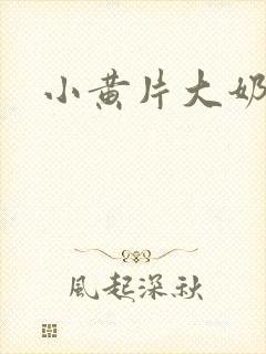 小黄片大奶子