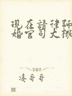 现在请律师打离婚官司大概费用是多少