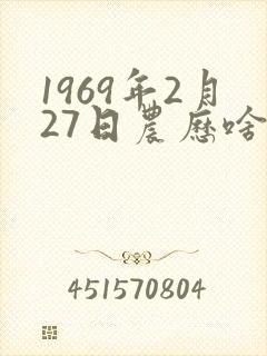 1969年2月27日农历啥命