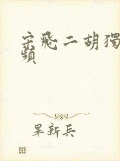 宋飞二胡独奏视频封面