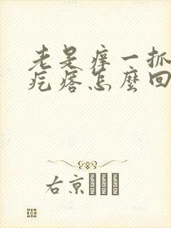 老是痒一抓就起疙瘩怎么回事