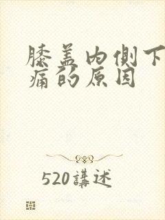 膝盖内侧下方疼痛的原因