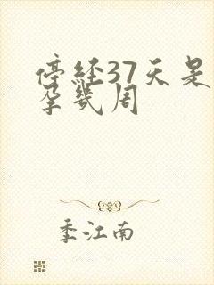 停经37天是怀孕几周