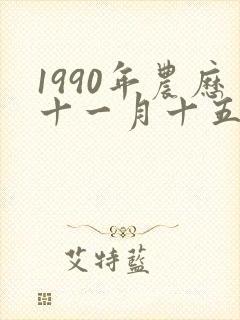 1990年农历十一月十五的命运