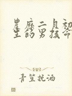 农历二月初七出生的男孩命运