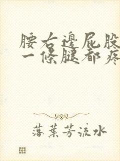 腰右边屁股疼连一条腿都疼怎么回事