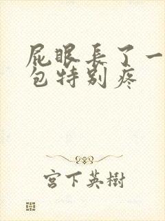 屁眼长了一个硬包特别疼