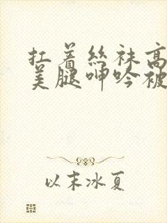 扛着丝袜高跟鞋美腿呻吟被频