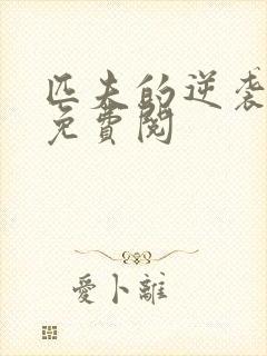 匹夫的逆袭小说免费阅