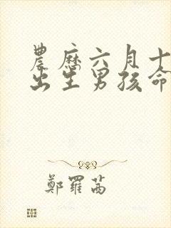 农历六月十一日出生男孩命运