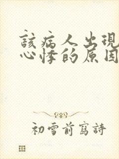 该病人出现头晕心悸的原因是什么