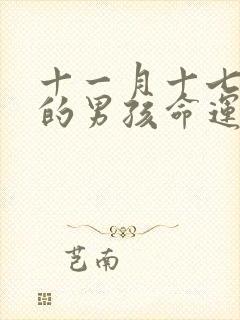 十一月十七出生的男孩命运