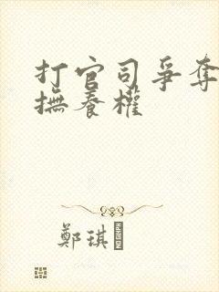 打官司争夺孩子抚养权