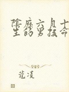 阴历六月十九出生的男孩命运