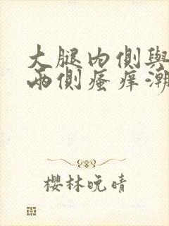 大腿内侧与阴囊两侧瘙痒潮湿发