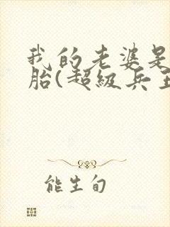 我的老婆是双胞胎(超级兵王在都市)封面