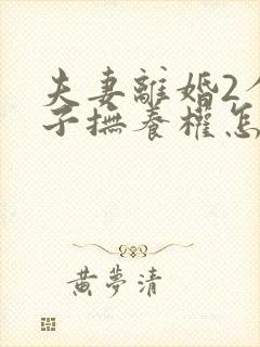 夫妻离婚2个孩子抚养权怎么判定封面