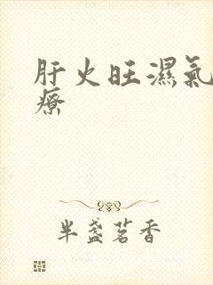 肝火旺湿气重食疗