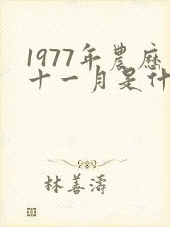 1977年农历十一月是什么命