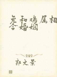 兔和鸡属相合不合婚姻