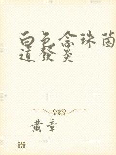 白色念珠菌性阴道发炎