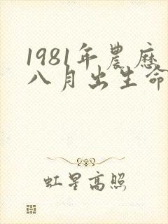 1981年农历八月出生命运如何封面