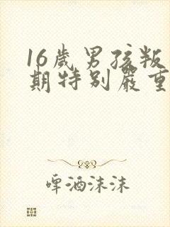 16岁男孩叛逆期特别严重怎么办还打父母封面